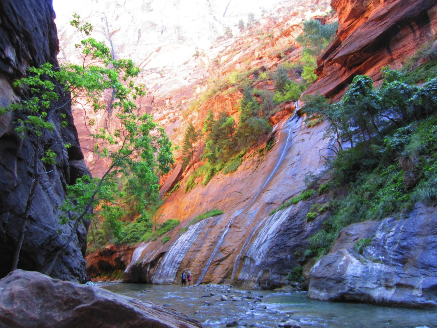 USA_Zion_A_083